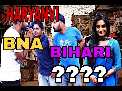 Haryanvi vs Bihari Comedy By Swadu Staff Films